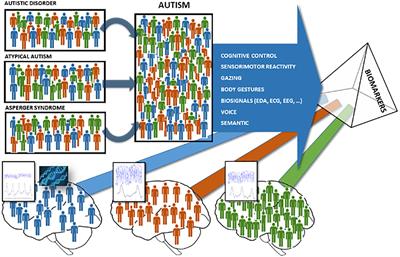 Application of Supervised Machine Learning for Behavioral Biomarkers of Autism Spectrum Disorder Based on Electrodermal Activity and Virtual Reality